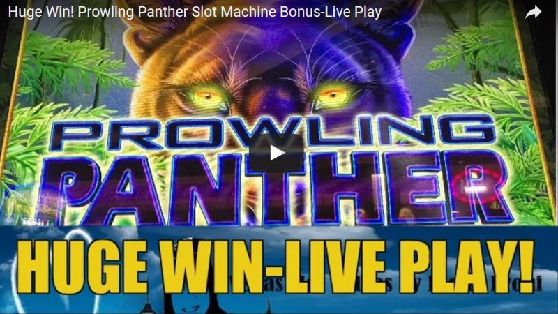 Discover IGT Prowling Panther Slots: Free & Real Play Pokies Game.