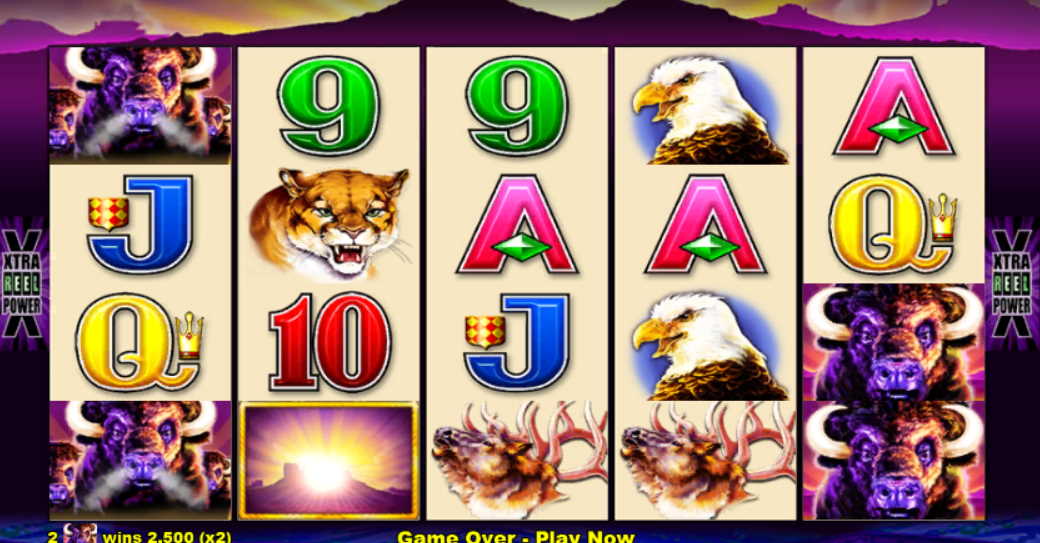 Siberian Storm Dual the spin palace casino Gamble Casino slot games