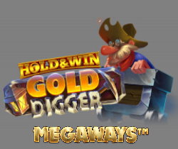 Gold Digger Megaways Hold & Win