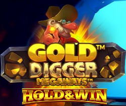 Gold Digger Megaways Hold & Win