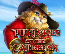 Purrates of the Catibbean