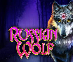 Russian Wolf