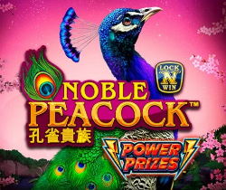 Power Prizes Noble Peacock