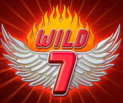Wild 7