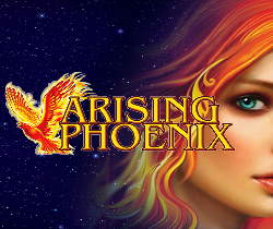 Arising Phoenix