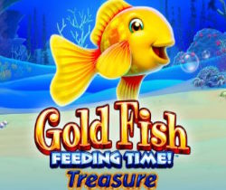 Gold Fish Feeding Time! Treasure