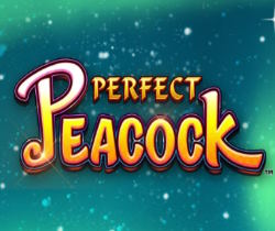 Perfect Peacock