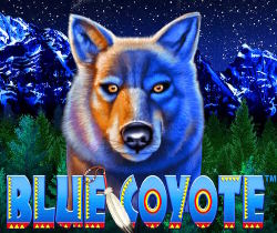 Blue Coyote
