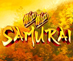Wild Wild Samurai