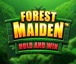 Forest Maiden Hold and Win
