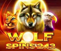 Wolf Spins 243