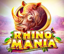 Rhino Mania