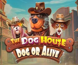 The Dog House - Dog or Alive
