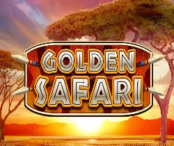 Golden Safari
