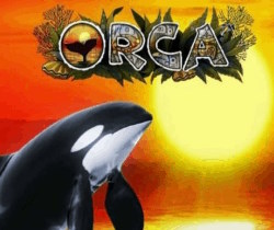 Orca